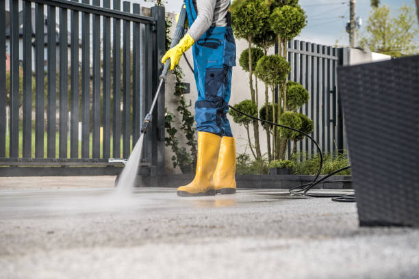 Best Spring Cleaning  in Ackerman, MS